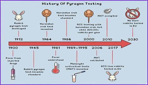 Unveiling The World's Dimmest: Discoveries In Animal Intelligence